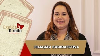 Explica Direito Filiação Socioafetiva  2019 [upl. by Klockau247]