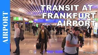 TRANSIT WALK AT FRANKFURT Airport FRA Terminal 1  Connection Flight Transfer Arriving amp Departing [upl. by Iona]